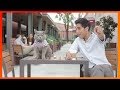 Magic Show Zach King Vines How To Magi Magic Show Zach King Vines How To Magi