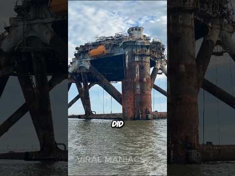 Thousands of Abandoned Oil Rigs in the Gulf of Mexico #shorts