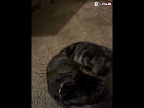 live your life for yourself