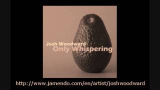 Josh Woodward - Adventures of the Deaf Dreamer