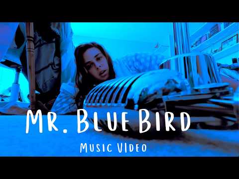 Mr. Blue Bird (Official Music Video) [Visualizer] By Chiara Maria