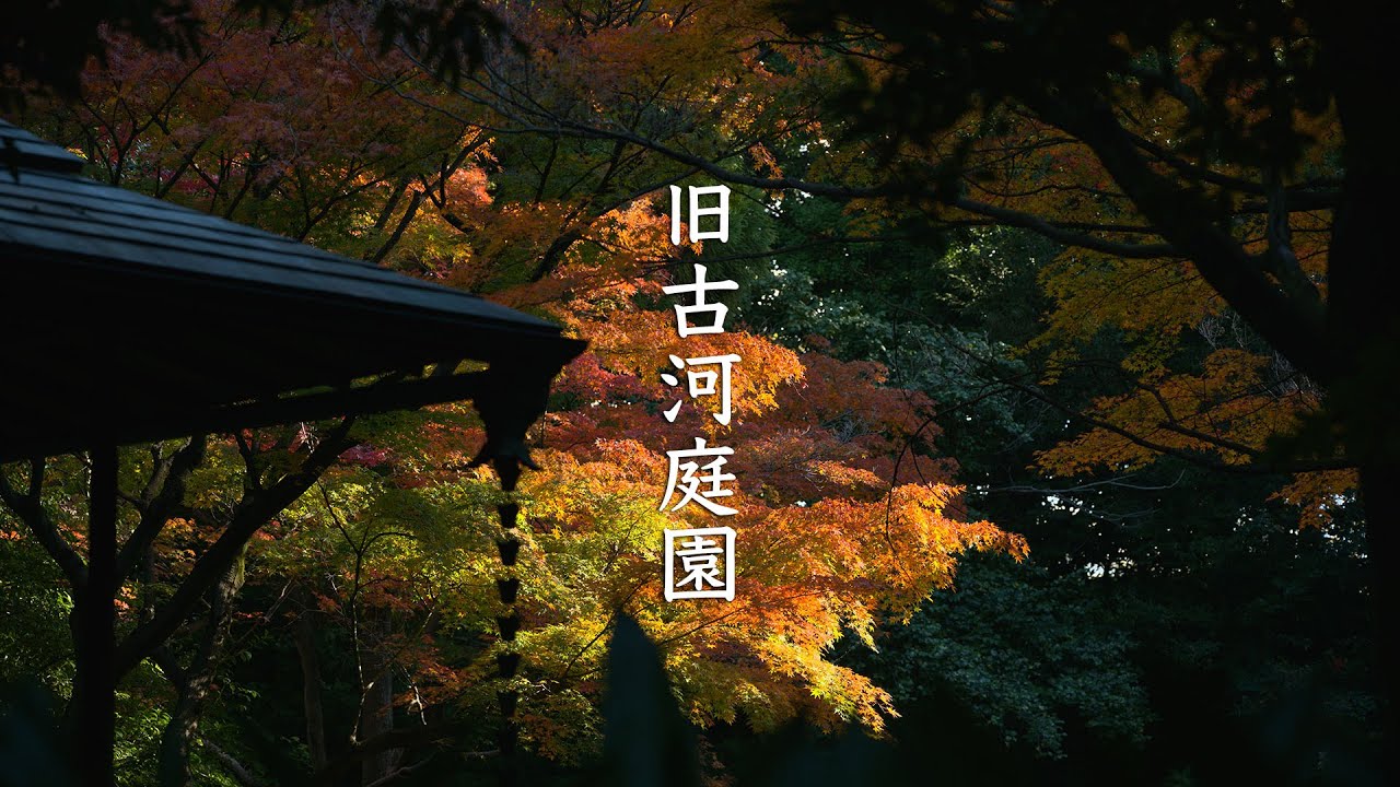 Kyu Furukawa Gardens (Autumn leaves) - 旧古河庭園 - Tokyo
