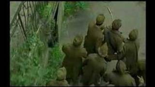 Kispál és a Borz - Nem fáj