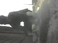 Aye Kash Mera Bhi Koi Hota