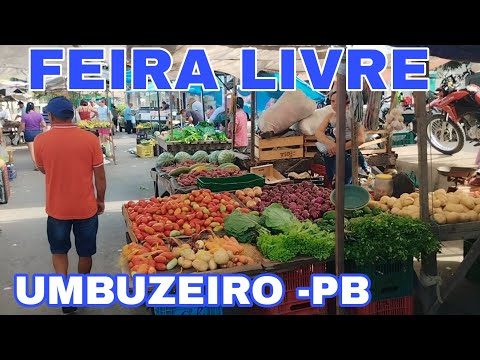 FEIRA LIVRE DE UMBUZEIRO PARAÍBA 21.02.2025