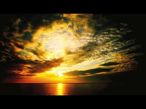 Stigma & Gestalt - Analogic