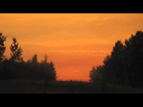 duo Nivoo - Metsaneid