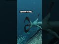 The Reaper Leviathans Secret Weakness