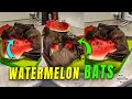 Two Fruit Bats Enjoying a Watermelon Snack