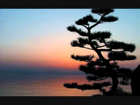 Timur Shafiev feat Dasha- Reunion (Aknael & Bekeela Dub Mix)