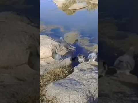 Villa Cabalango, PUNILLA, Córdoba, Argentina.#naturaleza