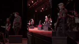 Stiff Little Fingers Just Fade Away