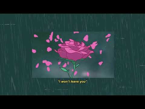 Maberry & Hypx - I Won't Leave You