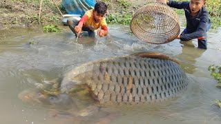 Amazing Fishing With Polo Hand | Traditional Boys Catch Fish By Bamboo Tools Polo Trap In Pond Water