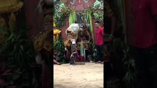 Download lagu RAMPAK GEDRUK BUTO (BOKOR KENCONO MUDO) #shots #gedruk #shorts #kesenian #newbkm mp3