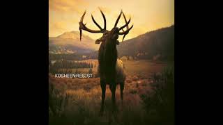 Kosheen - Catch (2021 Remaster)