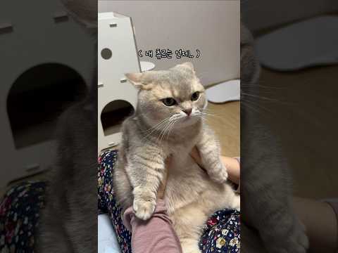 할머니 츄르나 주시면 안될까요..?