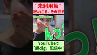 漁業が抱える負のスパイラル、解決するのはかつての高級魚？　知られざる「未利用魚」の活用で問題解決に挑む