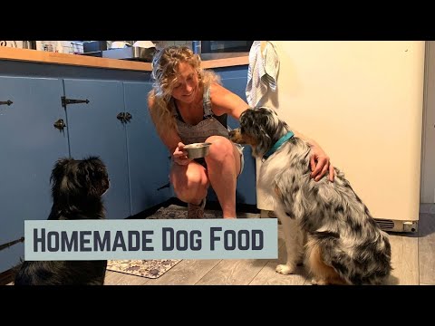 Homemade Dog Food Recipe With Venison