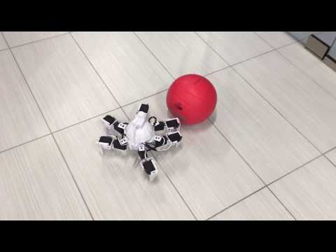 DJ's Six Hexapod Robot Tracking Ball