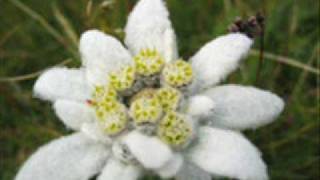 Edelweiss - Bring Me Edelweiss Tourist Mix