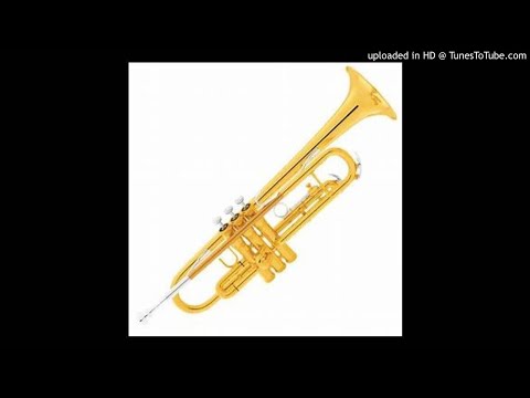 King Saiman Ft DeeJay Zebra SA Musiq  Pro Tee-Holly Trumpet 2