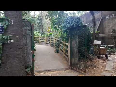 lại nhớ tết rồi