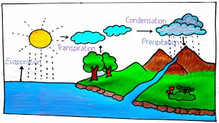 how to draw water cycle for school project || water cycle project drawing ||