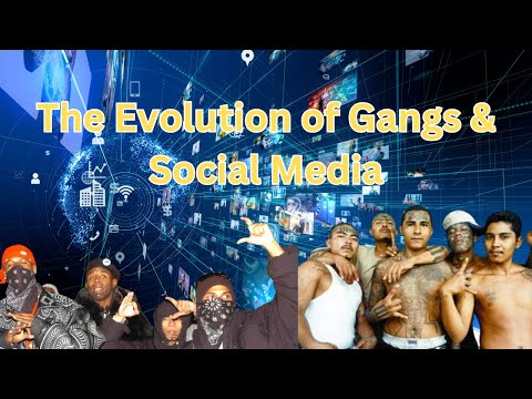The Evolving Landscape of Gang Activity | Vibepedia