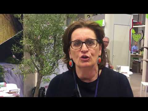 download lagu mp3 mp4 Olio Wine, download lagu Olio Wine gratis, unduh video klip Olio Wine