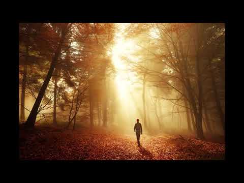 South Parade   - December