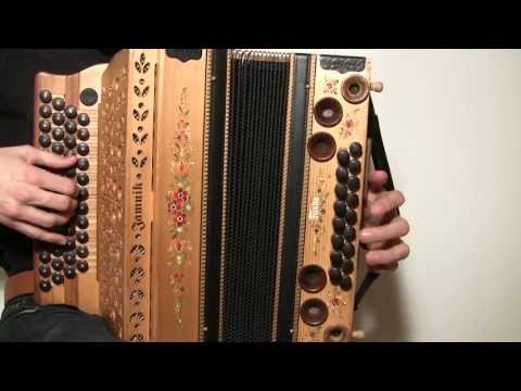 Ziachfuchs  "Stoariegler - Polka"