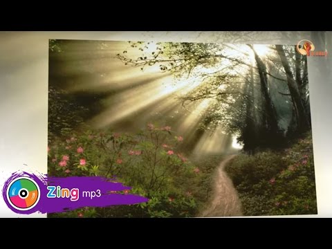 Trên lối xưa em qua Sheet - Quang Dũng