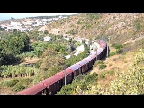 Comboio de Madeira n.º 61530 - Almourol