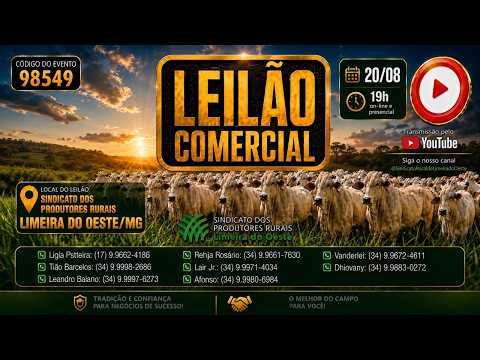 LEILÃO COMERCIAL DO SINDICATO DOS PRODUTORES RURAIS DE LIMEIRA DO OESTE/MG