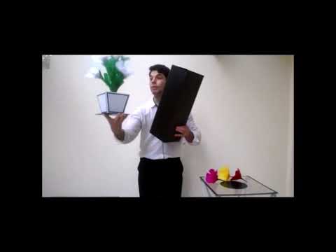 4 Colorful Flowers & Vases from Tube by Tora Magic