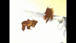 Short rap song by Cindy