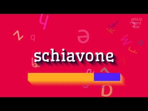 How to say "schiavone"! (High Quality Voices)