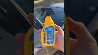 Applying Rain X to Windshield  #diy #rainx #autocare