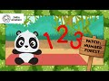 Counting Numbers 1 2 3 With Patch The Panda Baby Einstein Learning Show Toddlers Kids Cartoons
