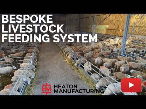 Bespoke Livestock Feeding System | Heaton Manufacturing & Agricultural Fabrication