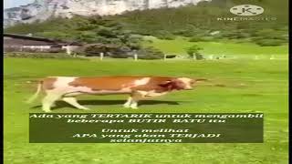 LAGU COUNTRY | Kenny Rogers - GREEN GREEN GRASS OF HOME | untuk penggemar Country...👌🏻