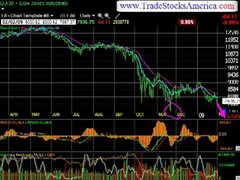 February 2nd Daily Stock Report with Stock Picks