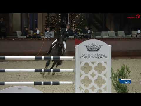 Campino *2011 by Cador x Zacharias