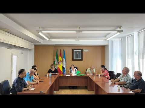 Pleno extraordinario de 13 de Agosto de 2026