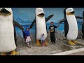Petualangan Ke Madagascar Part 1 Madagascar Renang Swimming Waterpark