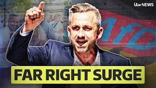 What do the AfD believe in and why are they so popular in Germany?
