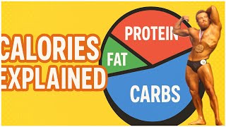 Calories Explained | Protein, Carbohydrates & Fats