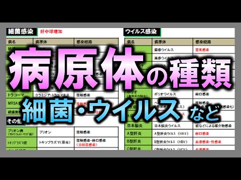 法医病理学者について詳しく解説