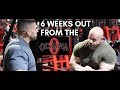 2019 Mr. Olympia Prep | 6 weeks out